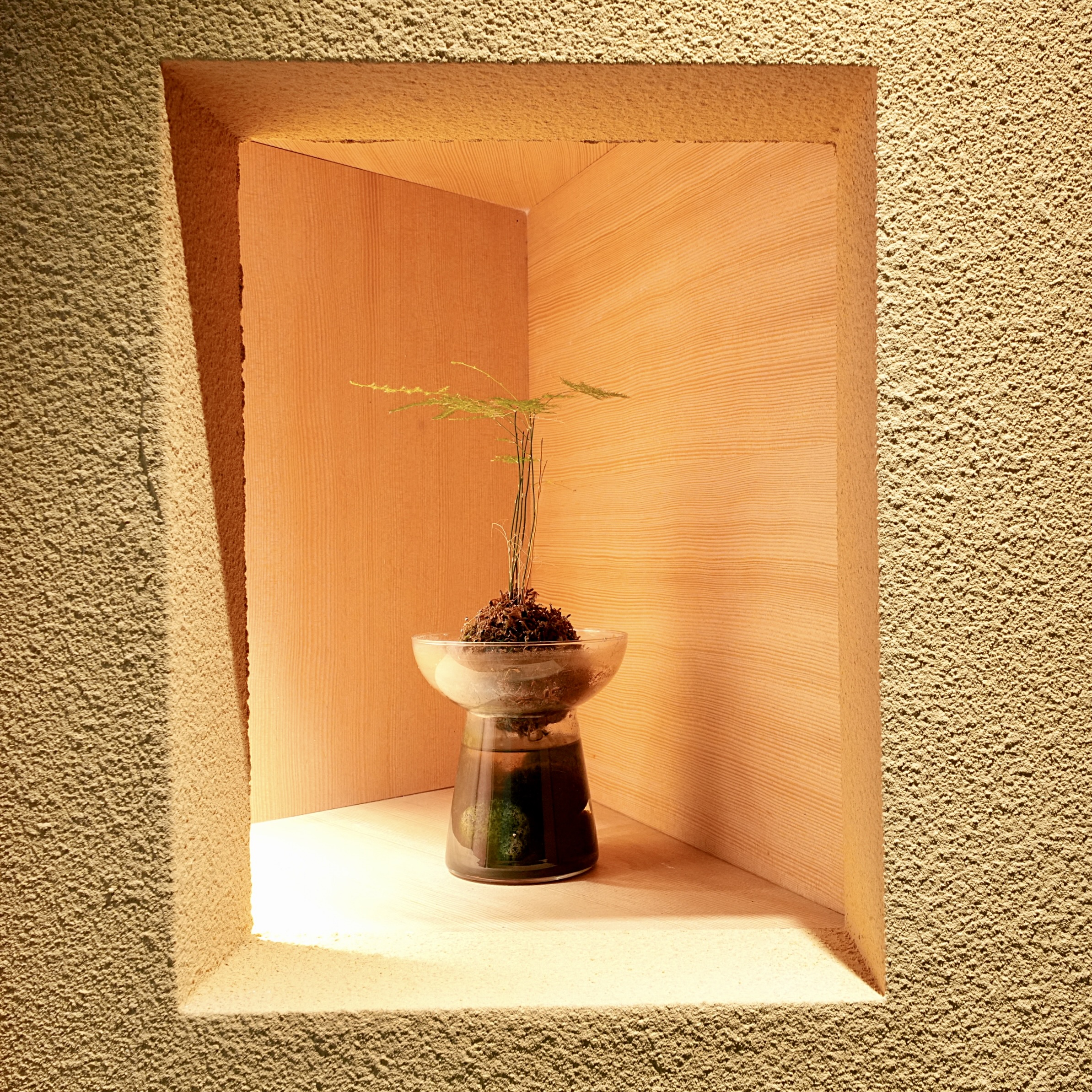 타쿠미곤 디쉬 4